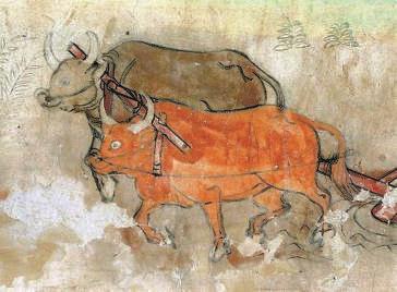 这一年,祈愿所有的牛得草